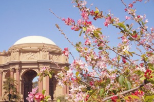 Palace of Fine Arts San Francisco Cherry Blossoms Emme Hope Slow Blog - COPYRIGHT 2018